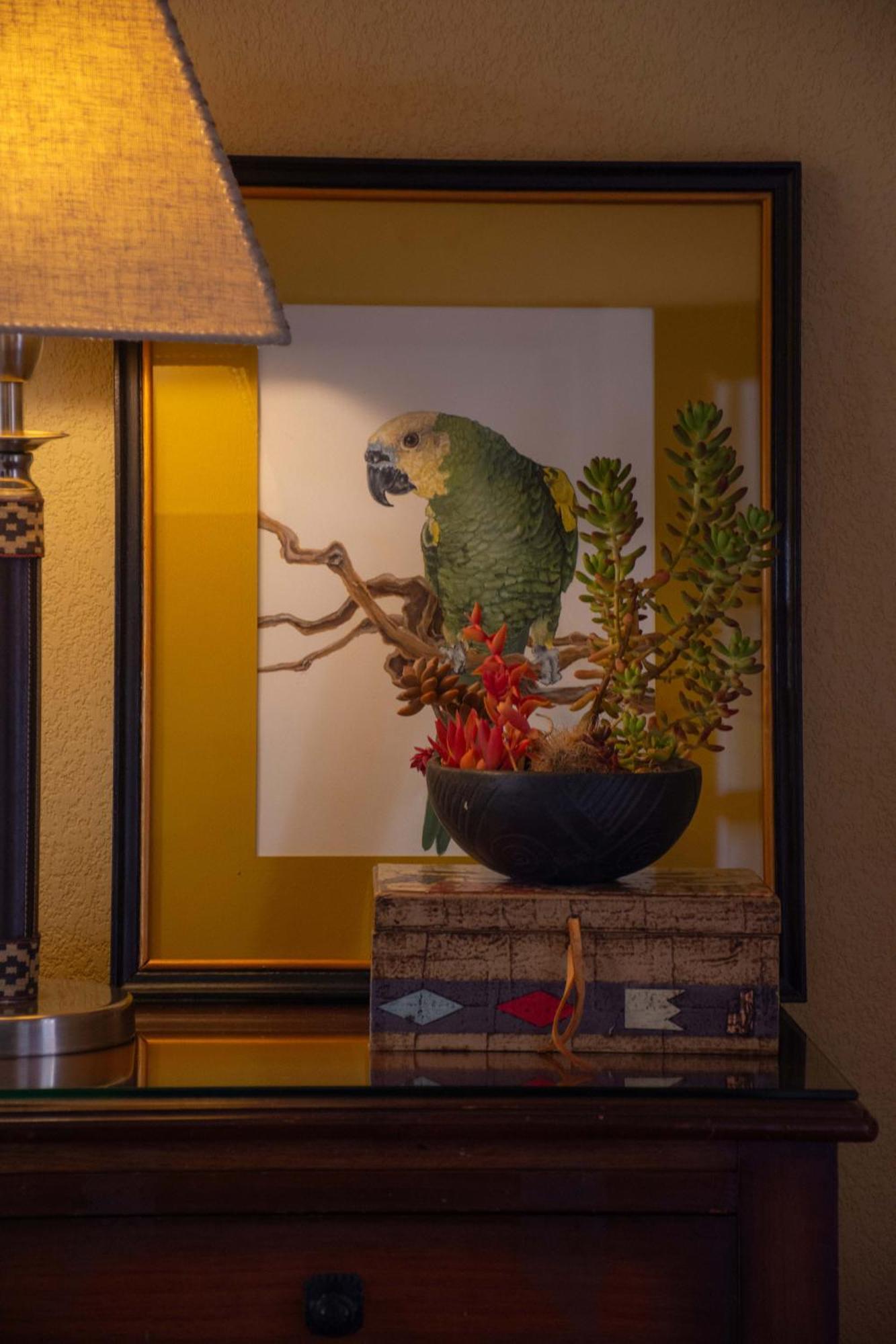 Villa Vicuna Cafayate Boutique Hotel Екстер'єр фото